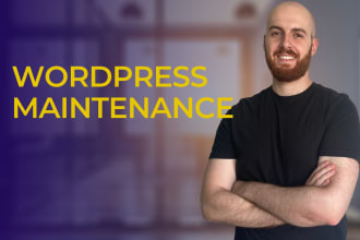 provide maintenance and support for your wordpress website