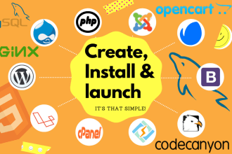 set up your vps or hosting server and launch your website or any PHP script