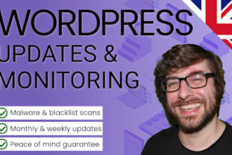 do monthly updates and monitoring on your wordpress site