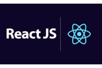 do work on reactjs angularjs and nodejs