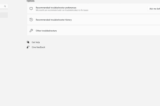 provide remote support of widows and mac users