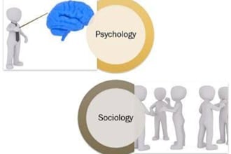 write outstanding criminology and psychology papers