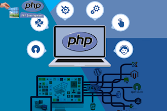 write custom PHP script, PHP code