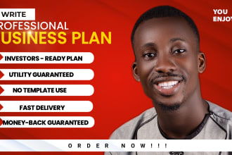 write a strategic business plan, business proposal for investors and loan