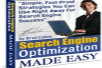 give you my perfect SEO made easy