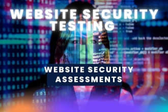 penetration test your website with professional report