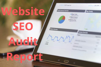 give you professional technical SEO audit report