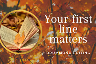 assess the first line of your novel and give you feedback