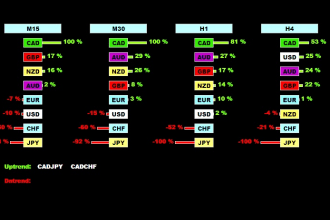 create or modify mt4 mt5 indicator or expert advisor  ea
