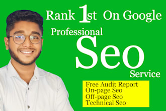 provide professional seo service to rank your website