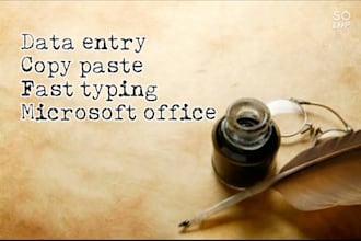 do excel, typing and file conversion jobs professionally