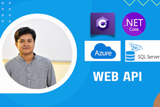 develop or update your dot net web api
