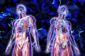 do biorgonomy bio energy and heal your energetic body