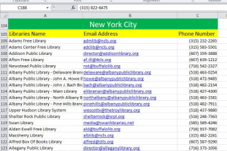 data entry, VA, web research, lead generation, converting