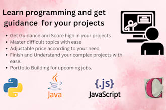 be your programming tutor and mentor and project consultant