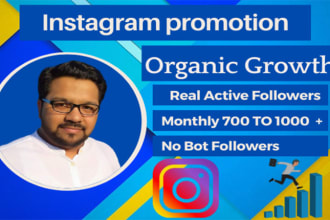 do instagram promotion or marketing  for fast organic instagram growth