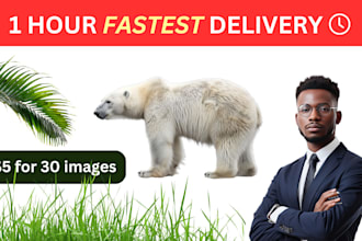do bulk image background removal and cut out super fast