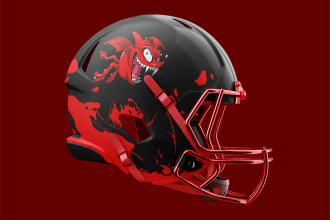make your football helmet team within 24 hours