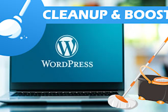 update, cleanup, and boost wordpress website