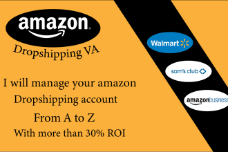 be your amazon dropshipping va