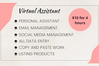 be your professional and reliable personal virtual assistant