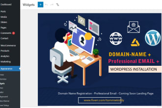 set up domain name, wordpress, pro email
