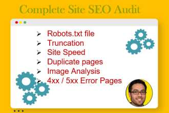 identify website issues and recommend improvements