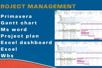 be ms project primavera, gantt chart, excel dashboard expert