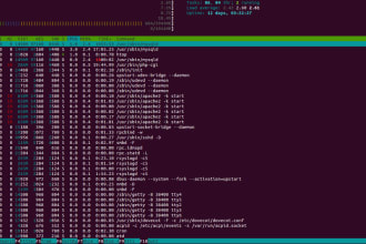 setup, migrate, and fix hosting, domain, dns and emails