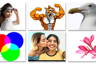 clipping path, background remove white or transparent png