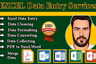 be your excel expert for excel data entry