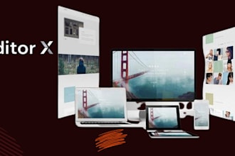 design and redesign professional wix editor x website