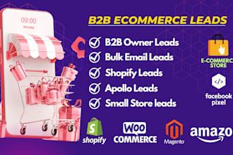 do b2b ecommerce leads, ecommerce store owner leads