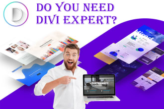 build wordpress website, ecommerce website, landing page by divi theme