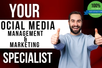 be your social media manager, digital marketing virtual assistant