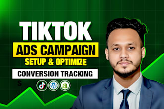 run and manage tiktok ads campaign, tiktok ads, tiktok ads manager, tiktok video