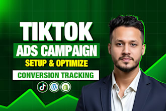run and manage tiktok ads campaign, tiktok ads, tiktok ads manager, tiktok video