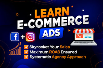 teach you ecommerce facebook ads and instagram ads