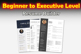 build executive level, professional resume cv cover letter