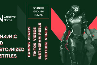customize the subtitles of your video