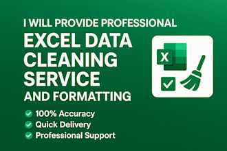 clean, organize, and format your data in ms excel