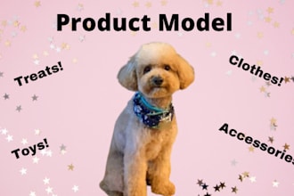 have my dog model your products