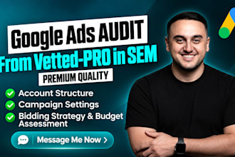 provide google ads audit report