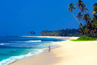 plan your trip in Sri Lanka