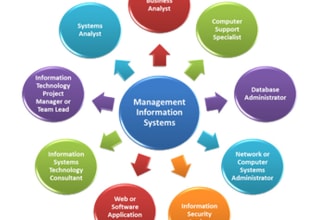 research and write unique management information systems tasks