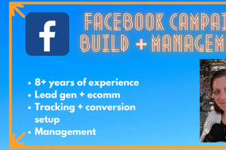 set up and manage a facebook ads campaigns for your business