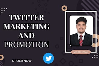 be your twitter marketing manager and promotion