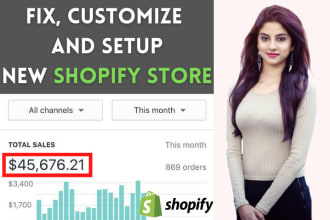 fix, customize, and set up shopify dropshipping store