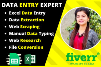 do data entry, web research, web scraping and excel data entry