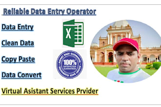 be your reliable data entry operator